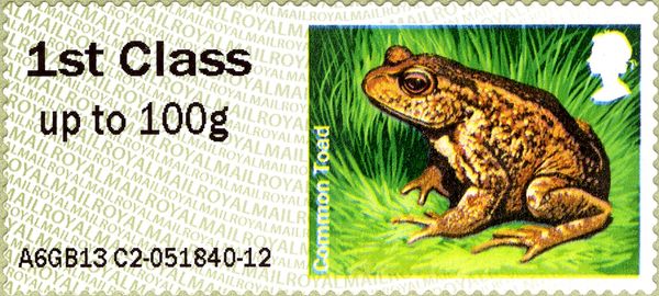 Common Toad (Bufo bufo)