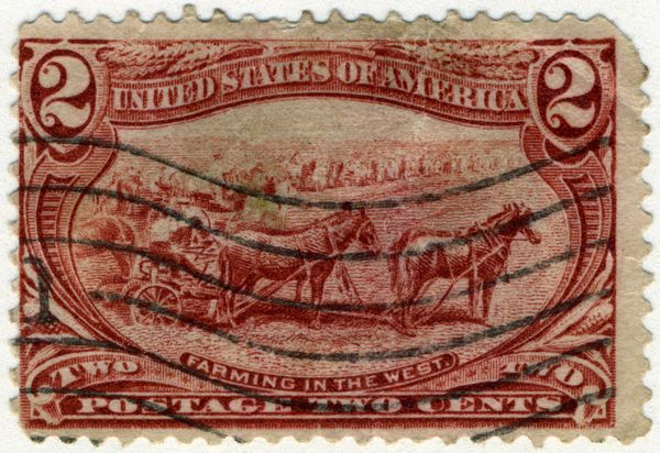Farming in the West, Horses (Equus ferus caballus)