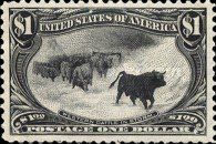 Cattle (Bos primigenius taurus) in Storm