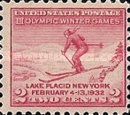 Skier