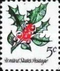 Holly (Ilex opaca)
