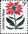 Poinsettia (Euphorbia pulcherrima)