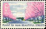 Plant for More Beautiful Streets