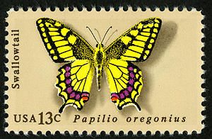 Oregon Swallowtail (Papilio oregonius)