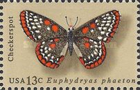 Baltimore Checkerspot (Euphydryas phaeton)