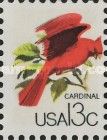 Northern Cardinal (Cardinalis cardinalis)