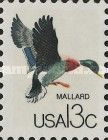 Mallard (Anas platyrhynchos)