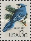 Blue Jay (Cyanocitta cristata)