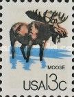 Moose (Alces alces)