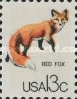Red Fox (Vulpes vulpes)