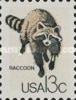 Raccoon (Procyon lotor)