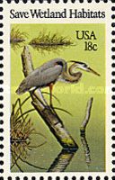 Great Blue Heron (Ardea herodias)
