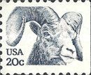 Bighorn Sheep (Ovis canadensis)