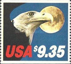 Bald Eagle (Haliaeetus leucocephalus), Moon