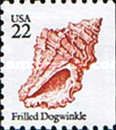 Frilled Dogwinkle (Nucella lamellosa)
