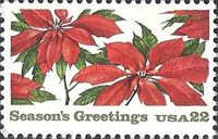 Poinsettia Plants