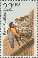 Barn Swallow (Hirundo rustica)