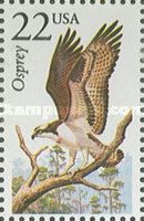 American Osprey (Pandion haliaeëtus carolinensis)
