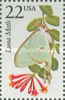 Luna Moth (Actias luna)