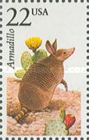 Nine-banded Armadillo (Dasypus novemcinctus)