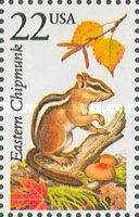 Eastern Chipmunk (Tamias striatus)