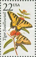 Eastern Tiger Swallowtail (Papilio glaucus)