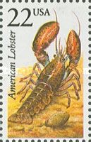 American Lobster (Homarus americanus)