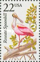 Roseate Spoonbill (Platalea ajaja)