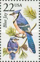 Blue Jay (Cyanocitta cristata)