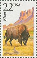 American Bison (Bos bison)