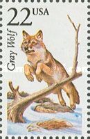 Wolf (Canis lupus)