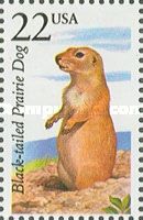 Black-tailed Prairie Dog (Cynomys ludovicianus)