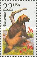Wolverine (Gulo gulo)