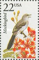 Northern Mockingbird (Mimus polyglottos)