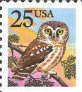 Boreal Owl (Aegolius funereus)