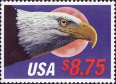 Bald Eagle (Haliaeetus leucocephalus). Moon
