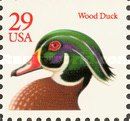 Wood Duck (Aix sponsa)
