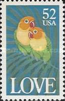 Fischer's Lovebird (Agapornis fischeri)