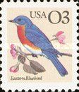 Eastern Bluebird (Sialia sialis)