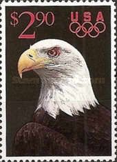 Bald Eagle (Haliaeetus leucocephalus)