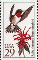 Ruby-throated Hummingbird (Archilochus colubris)