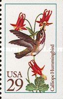 Calliope Hummingbird (Selasphorus calliope)