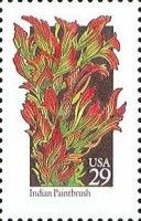 Indian Paintbrush (Castilleja linariifolia)