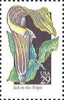 Jack-In-The-Pulpit (Arisaema triphyllum)