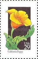 California Poppy (Eschscholzia californica)
