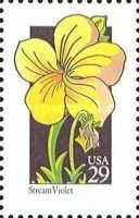 Stream Violet (Viola glabella)