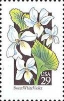 Sweet White Violet (Viola blanda)