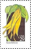 Sessile Bellwort (Uvularia sessilifolia)