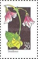 Twinflower (Linnaea borealis)