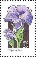 Fringed Gentian (Gentianopsis crinita)